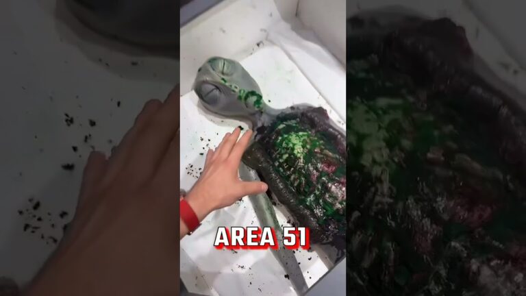 I went to Area 51 😭