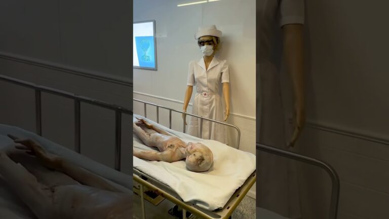 Roswell New Mexico A Day of Alien Encounters You Won’t Believe!! #familytravel #martinandrosefamily