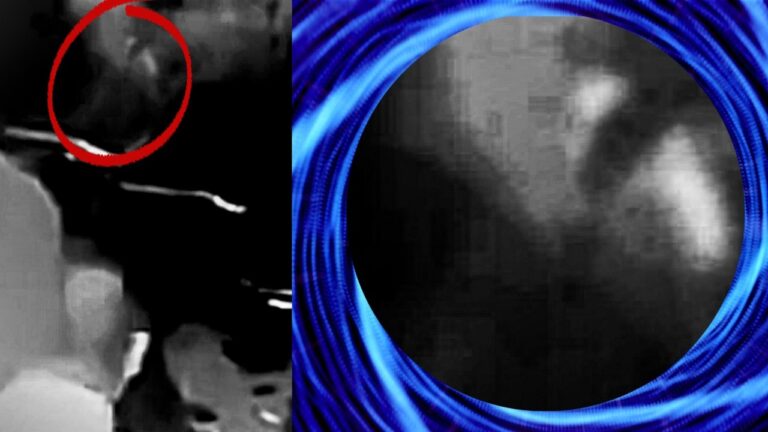 Another Insectoid Discovered in Las Vegas Alien Video by French UFO Researcher