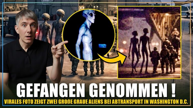 Grade viral: Zwei große graue Aliens von US-Militär gefangen genommen…Was wissen wir darüber?
