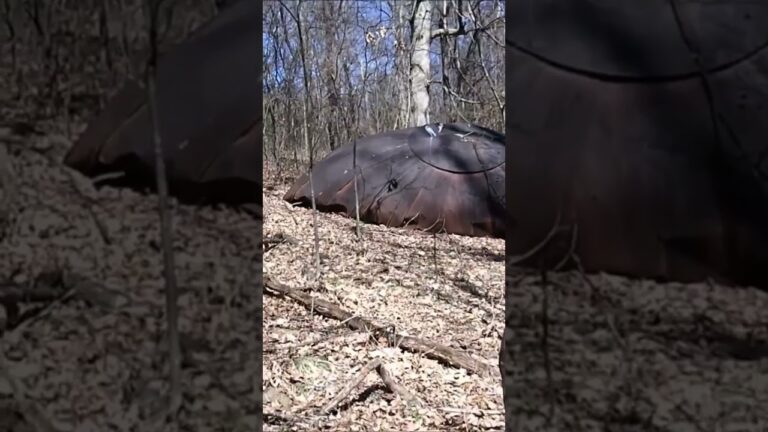 Crashed UFO Found😨    #explore #shorts
