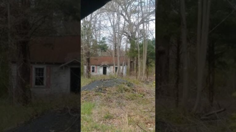 Ufo Takes Abandoned House In A AI Animation
