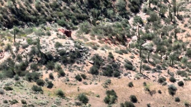 UFO Orb Caught on Drone in Arizona Desert  (4K Real Footage)