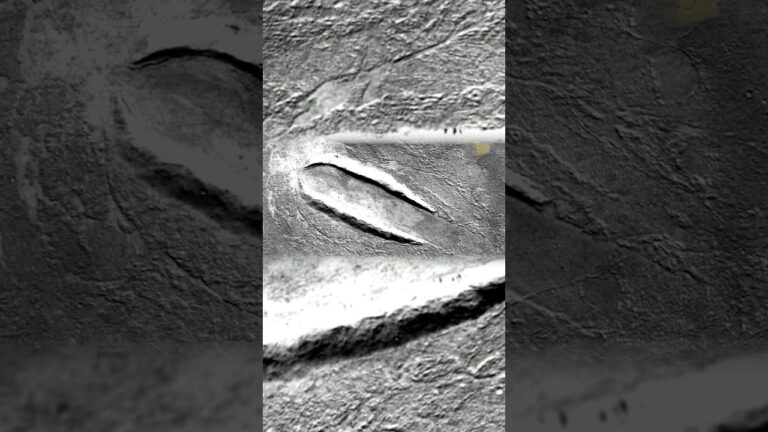 Bigfoot, UFO Crash on Mars, Google Earth Ocean Tower and More #mystery  #science #caughtoncamera