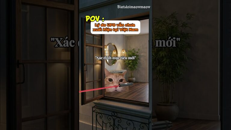 Lý do UFO không dám xuất hiện ở VN, à mà đừng bắn laser vào người khác nha  #vuive #cat #funny