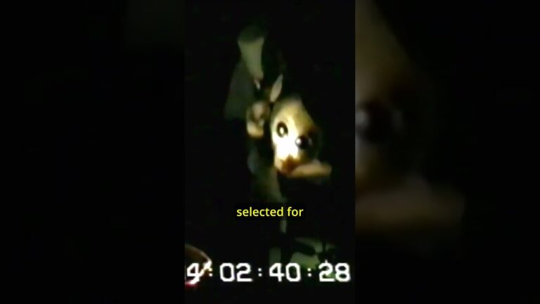 The Alien Interview released in 1997 – clip of alien in distress